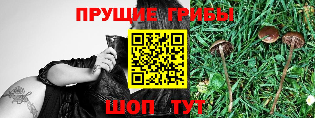 Сызрань  где найти   Галлюциногенные грибы мицелий  Вход с VPN  Галлюциногенные грибы Magic Shrooms 